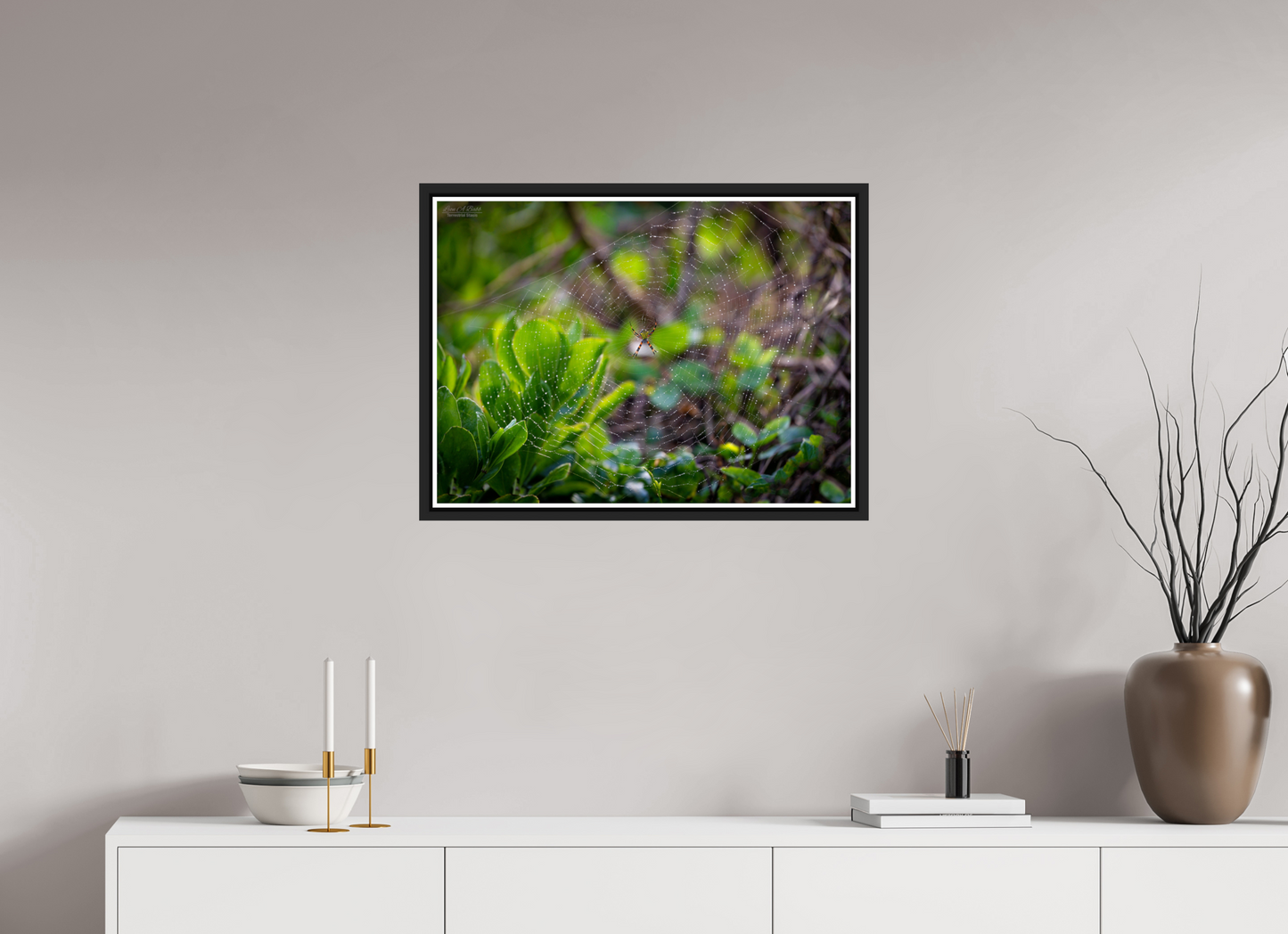 27.5 x 20″, Black Matte Floater Frame with Acrylic Glass Hawaiian Garden Spider Web