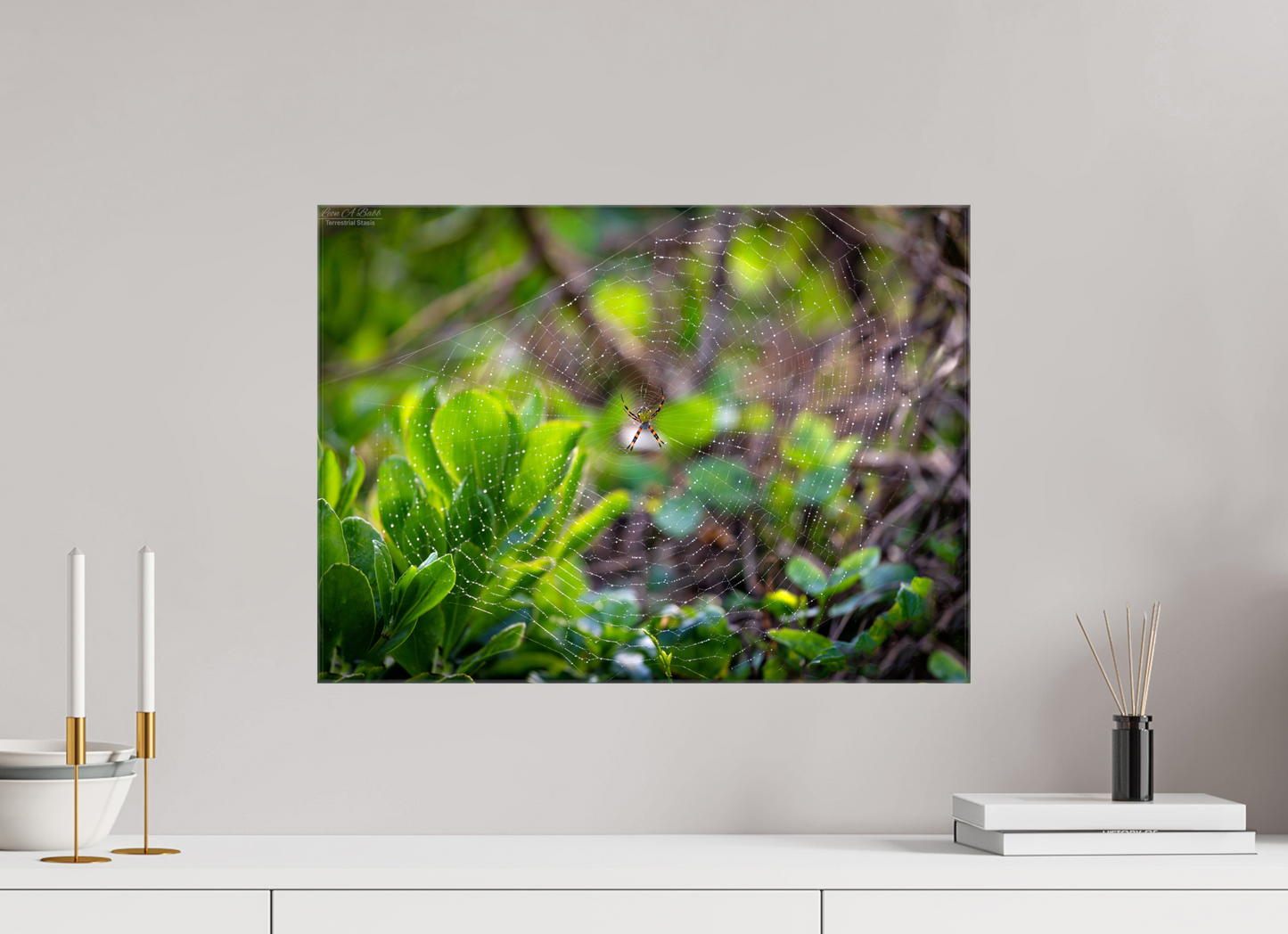 22 x 16″, Glossy Canvas Stretcher Frame with Mirrored Edges Hawaiian Garden Spider Web