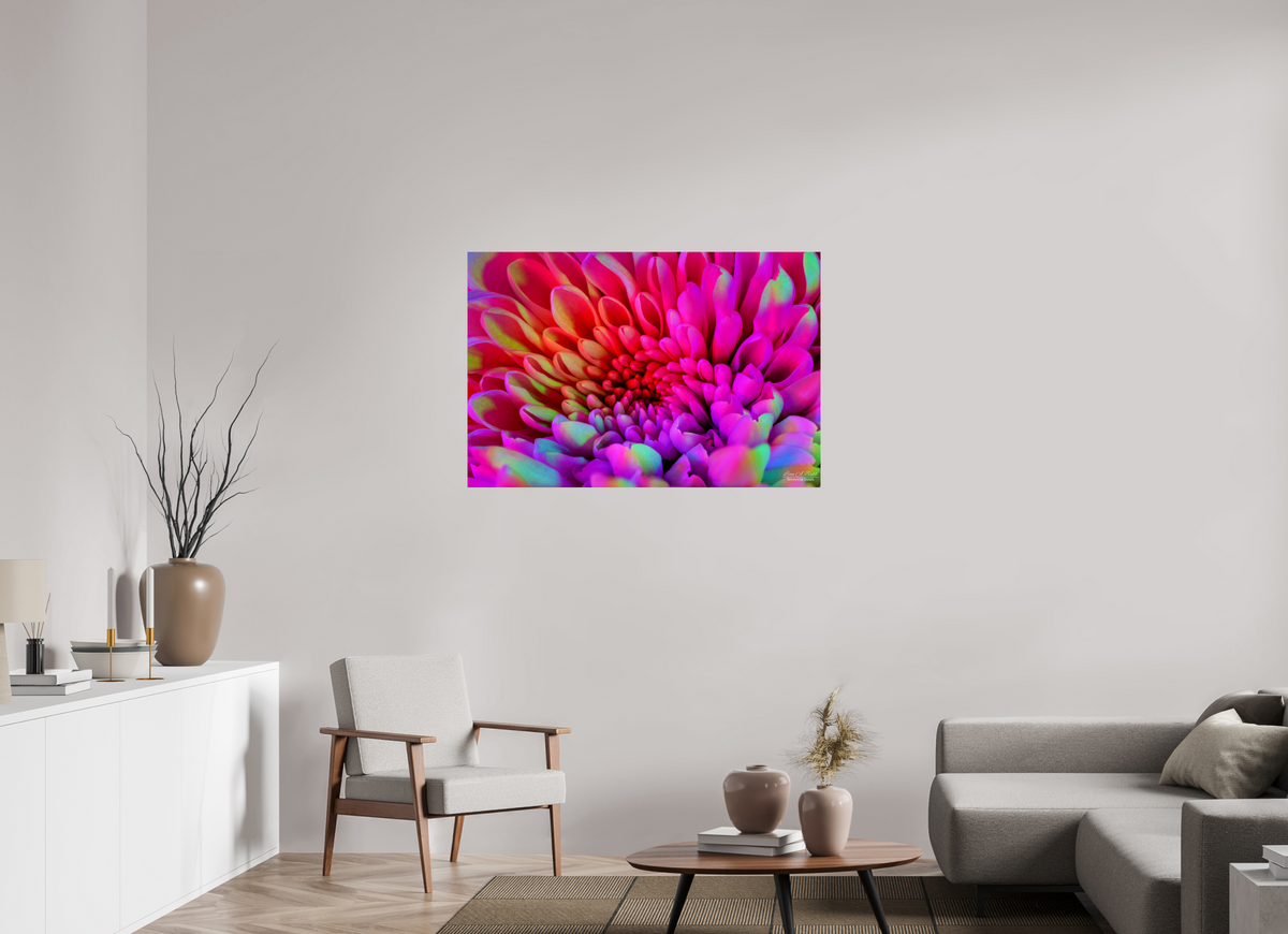 45 x 30″, Photo Print Under Acrylic Glass ????