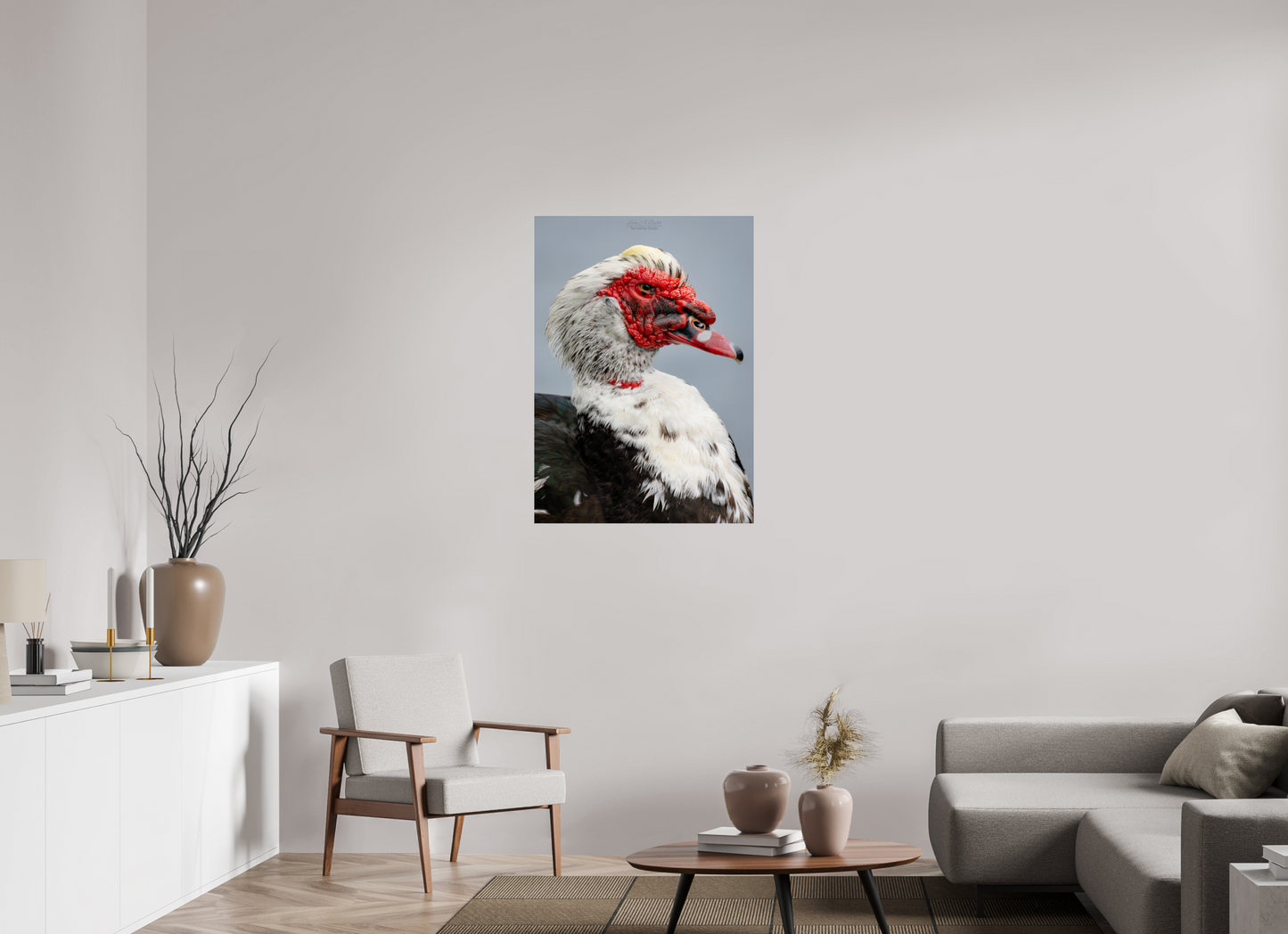 28 x 39.2″, Photo Print Under Acrylic Glass (08S) Male Muscovy Duck Portrait