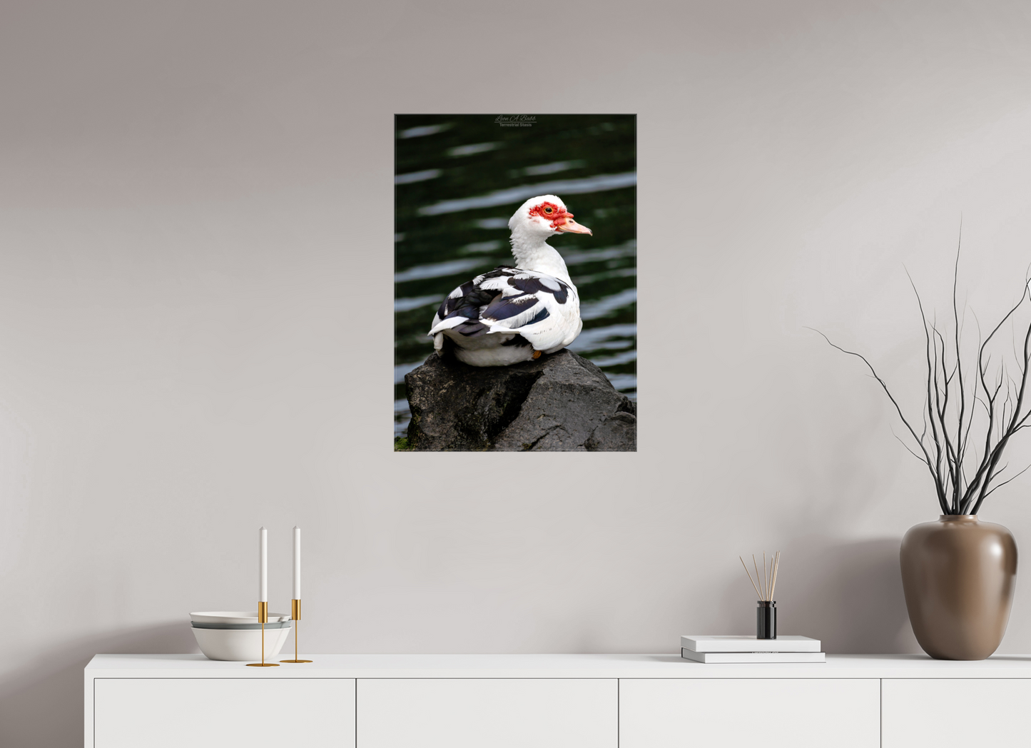 20 x 28″, Glossy Canvas Stretcher Frame with Mirrored Edges (08T) Female Muscovy Duck Portrait