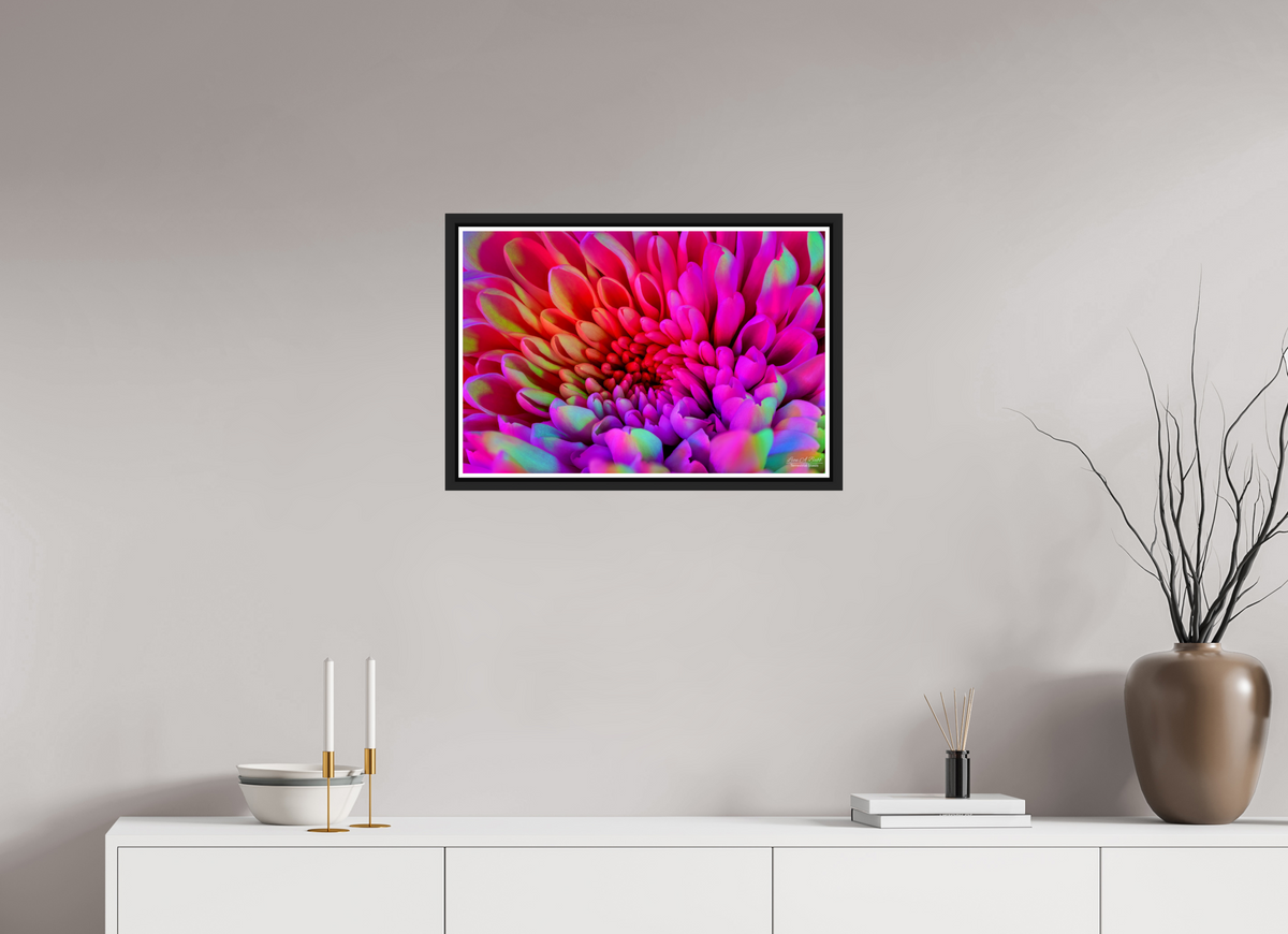 24 x 16″, Black Matte Floater Frame with Acrylic Glass ????