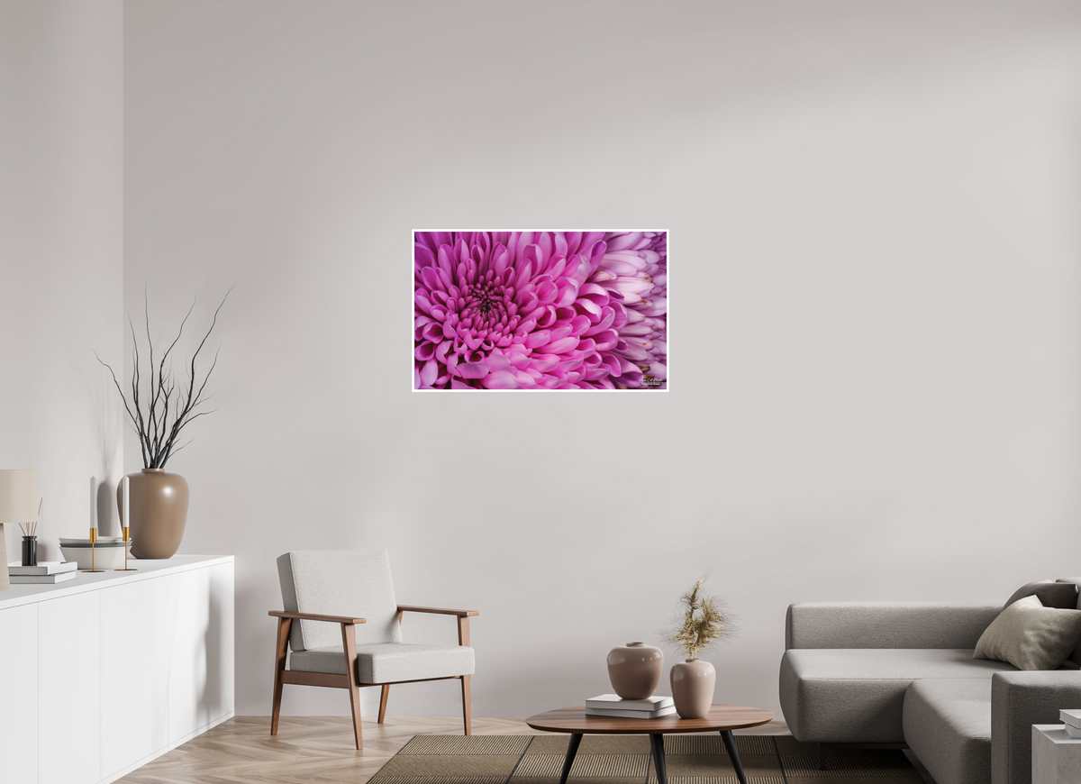 38.4 x 24″, Print with Matte Lamination ???