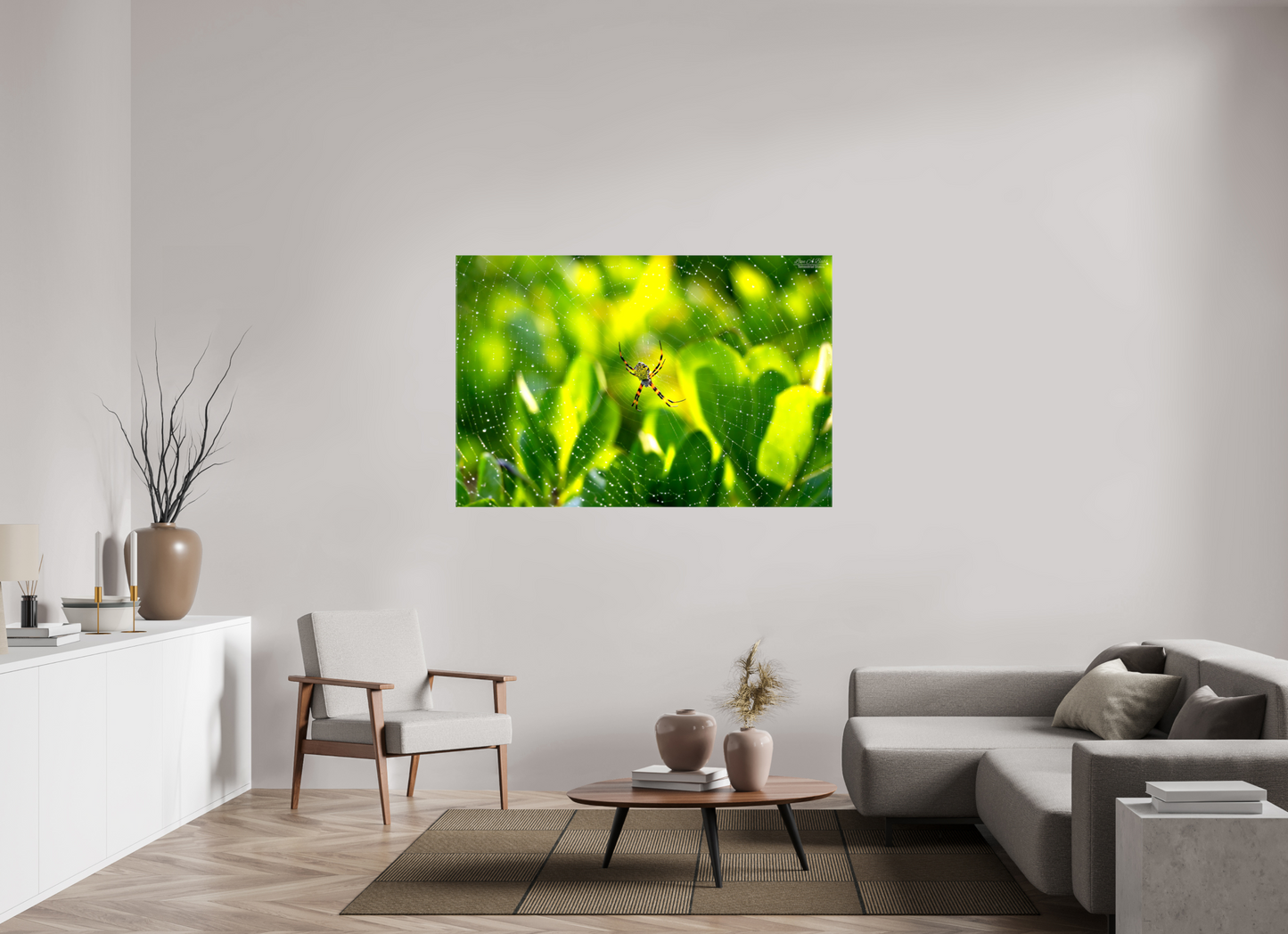 60 x 40″, Glossy Canvas Stretcher Frame with Mirrored Edges (09C) Hawaiian Garden Spider