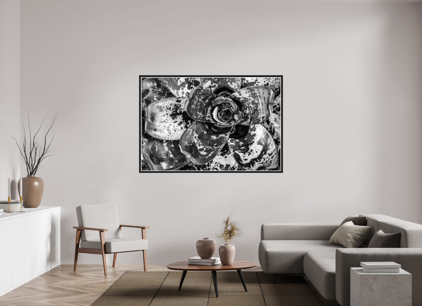 66 x 44″, Black Matte Floater Frame with Acrylic Glass (07C) BnW Plant
