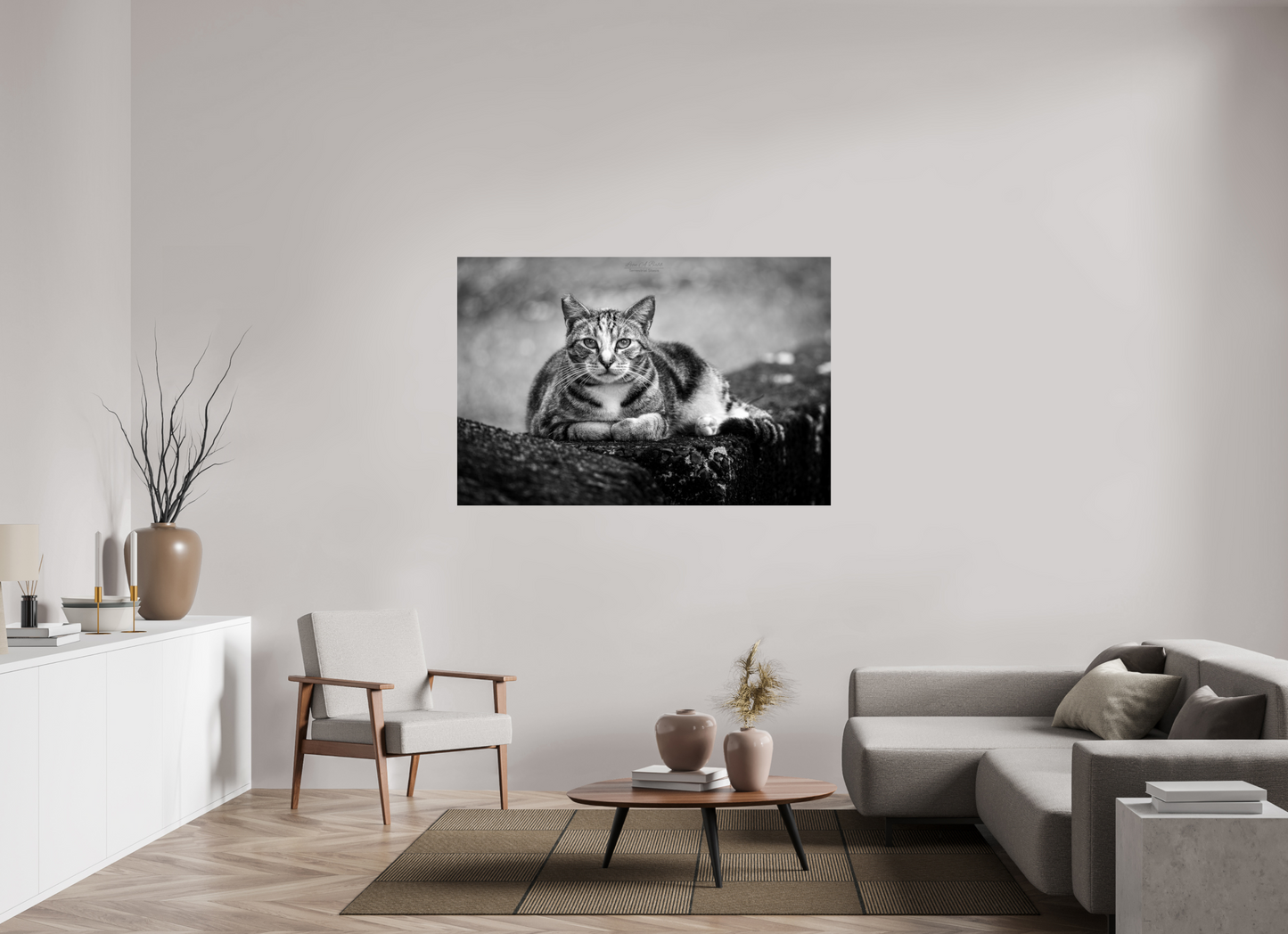 (08G) Hawaii Strays in BnW
