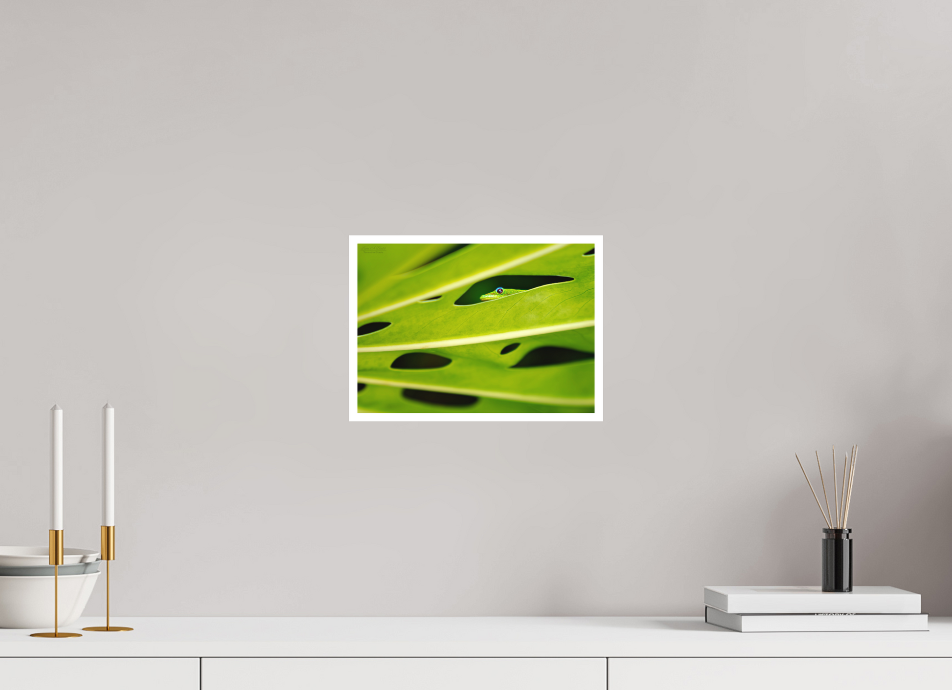 11.2 x 8″, Photo Print with Matte Lamination (08F) Tiny Explorer