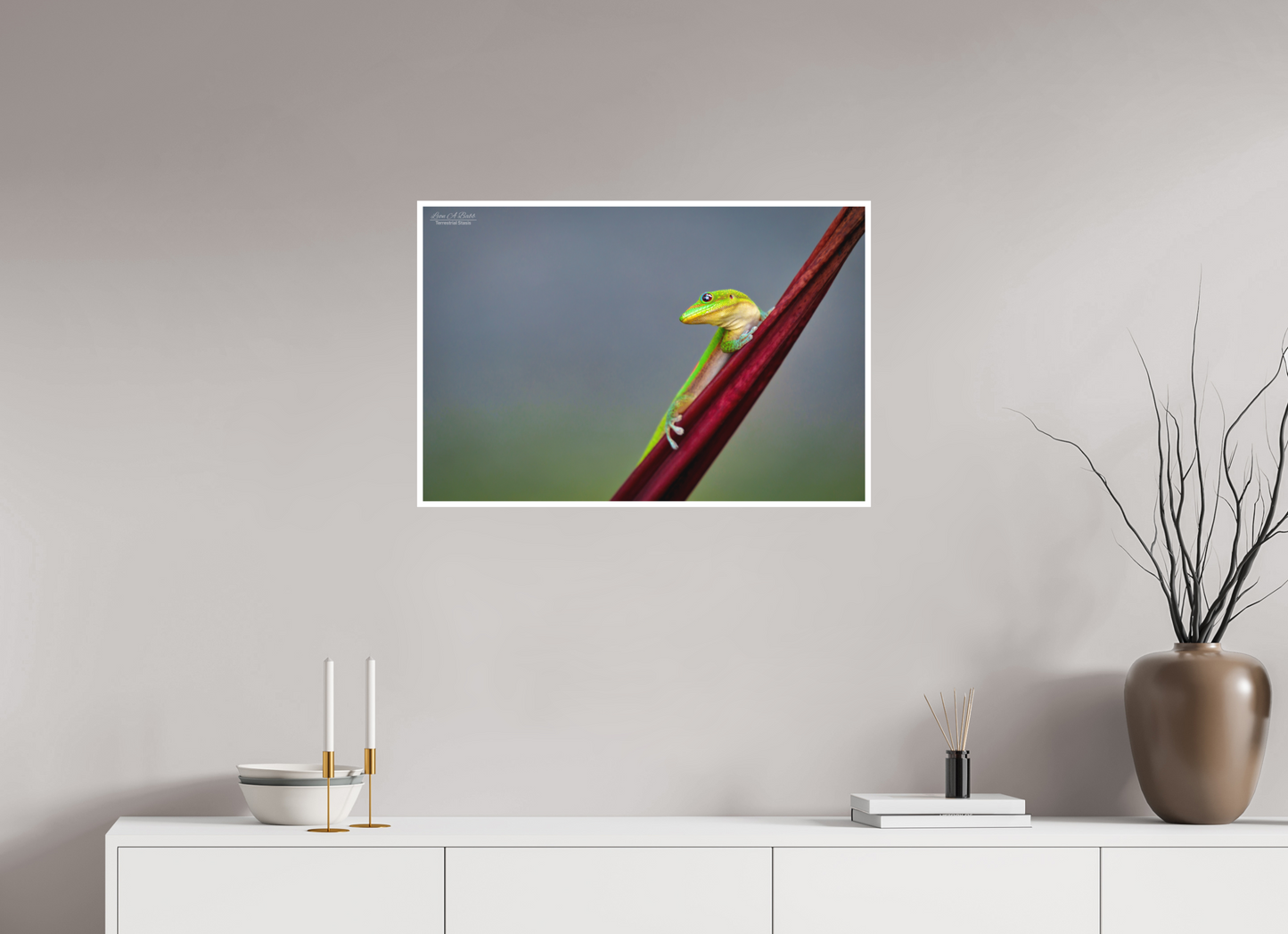 30 x 20″, Print with Matte Lamination (08Q) Quiet Gaze