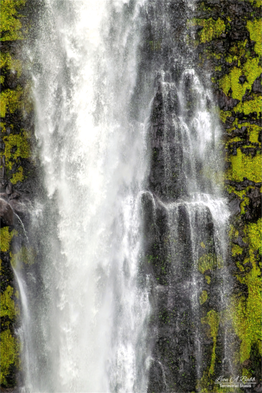 (04D) Akaka Falls Cascade