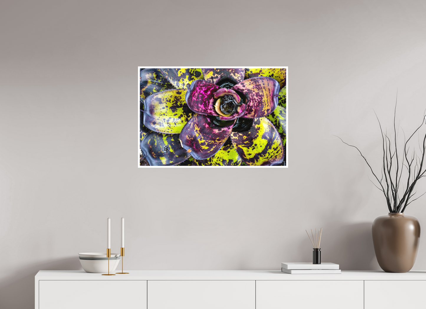 30 x 20″, Photo Print with Matte Lamination (07B) Colorful Plant