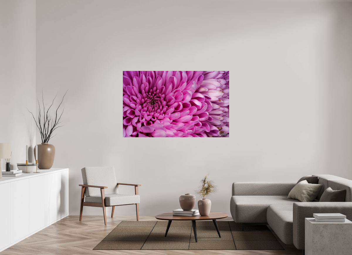 62.4 x 39″, Print with Aluminum Backing and Glossy Lamination ???