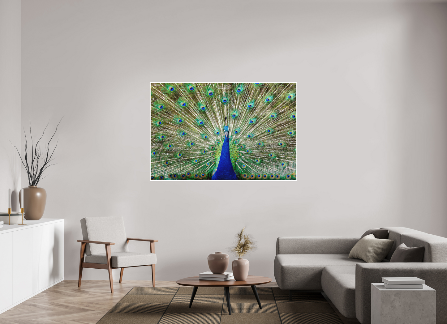 66 x 44″, Photo Print with Matte Lamination (08C) Peacock Display