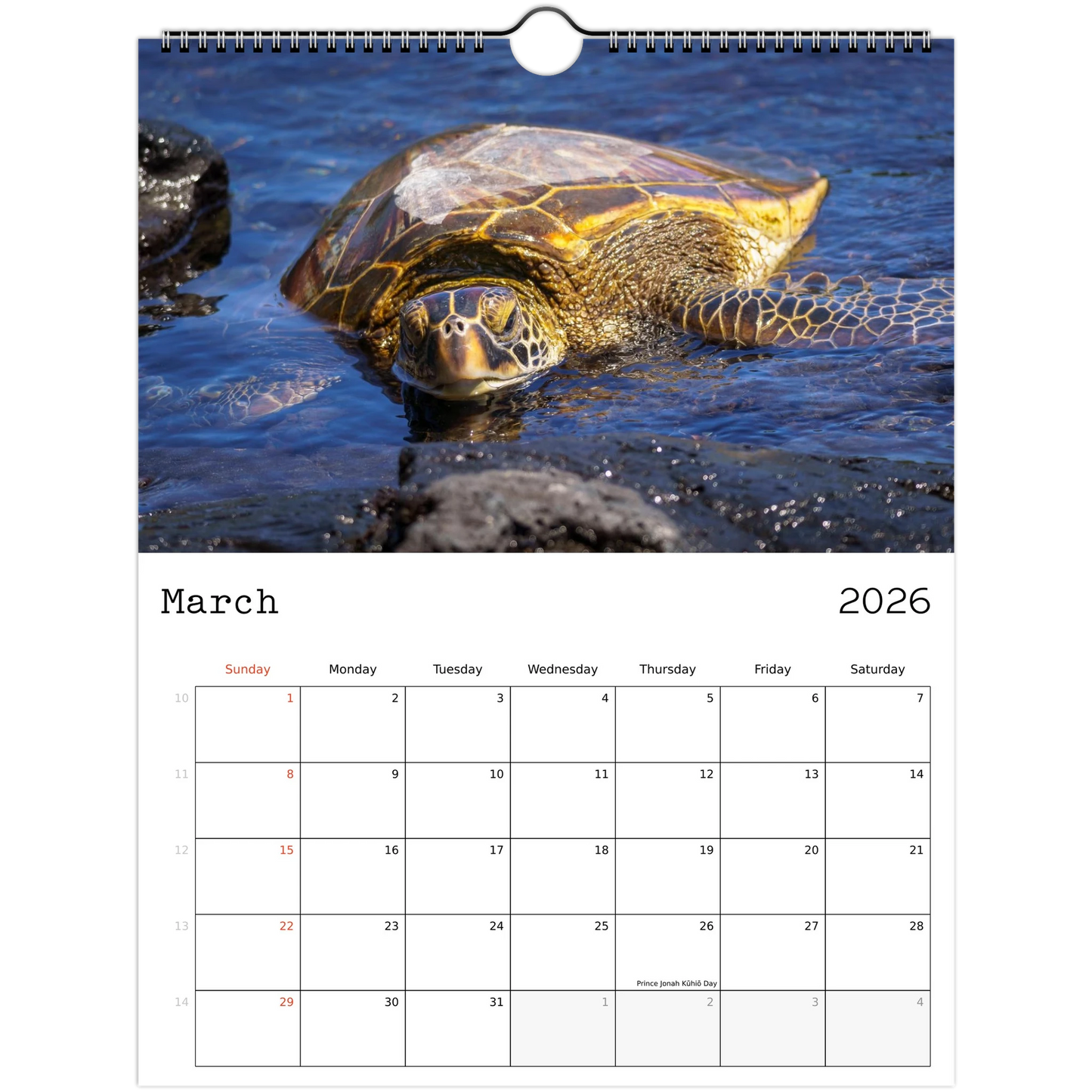 9f443a23-7e8f-455c-aee7-4c6cb4cd8fb2