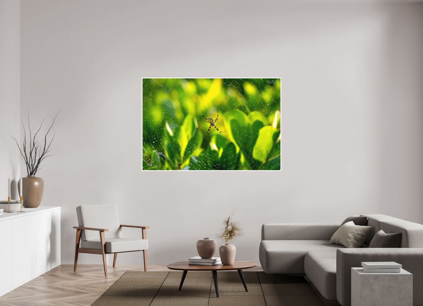 66 x 44″, Print with Matte Lamination (09C) Hawaiian Garden Spider