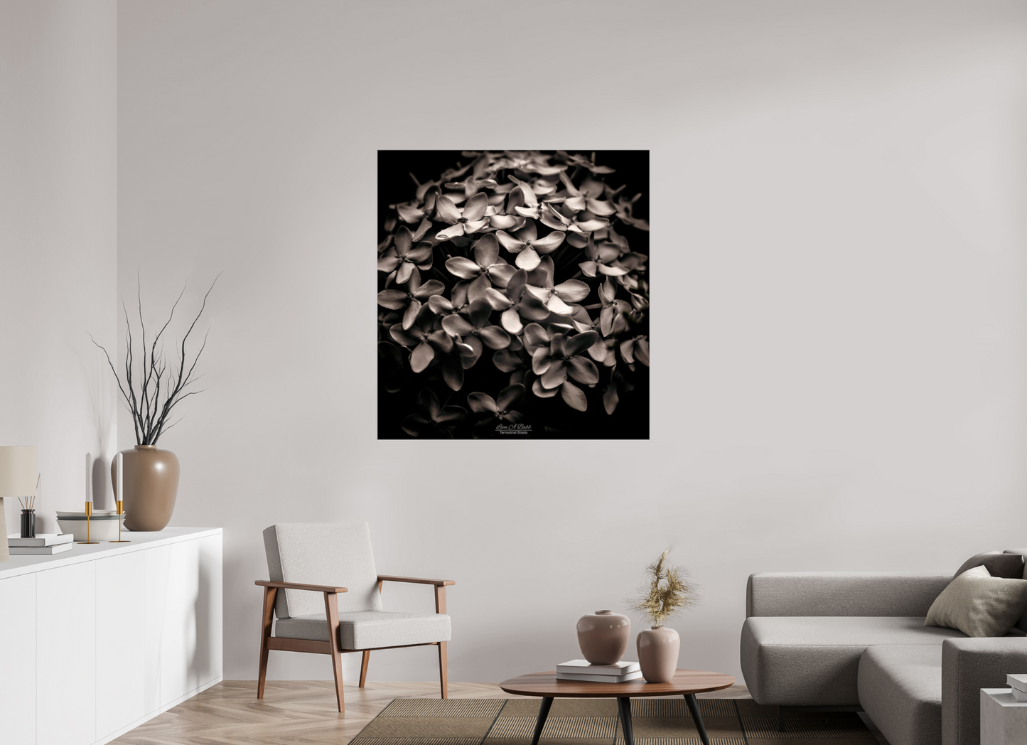 (07D) Monochrome Garden