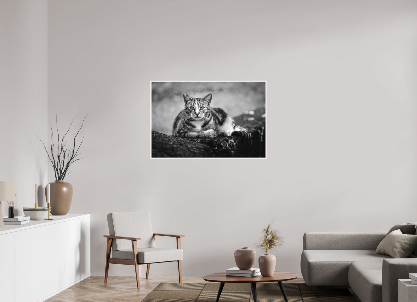45 x 30″, Photo Print with Matte Lamination (08G) Hawaii Strays in BnW