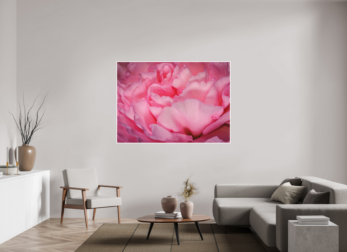 65.8 x 47″, Print with Matte Lamination Radiant Pink Petals