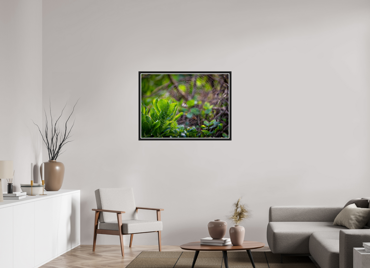 38.5 x 28″, Black Matte Floater Frame with Acrylic Glass Hawaiian Garden Spider Web