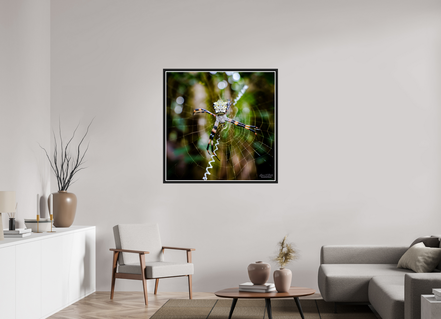 40 x 40″, Black Matte Floater Frame with Acrylic Glass (09A) Spider on the trail