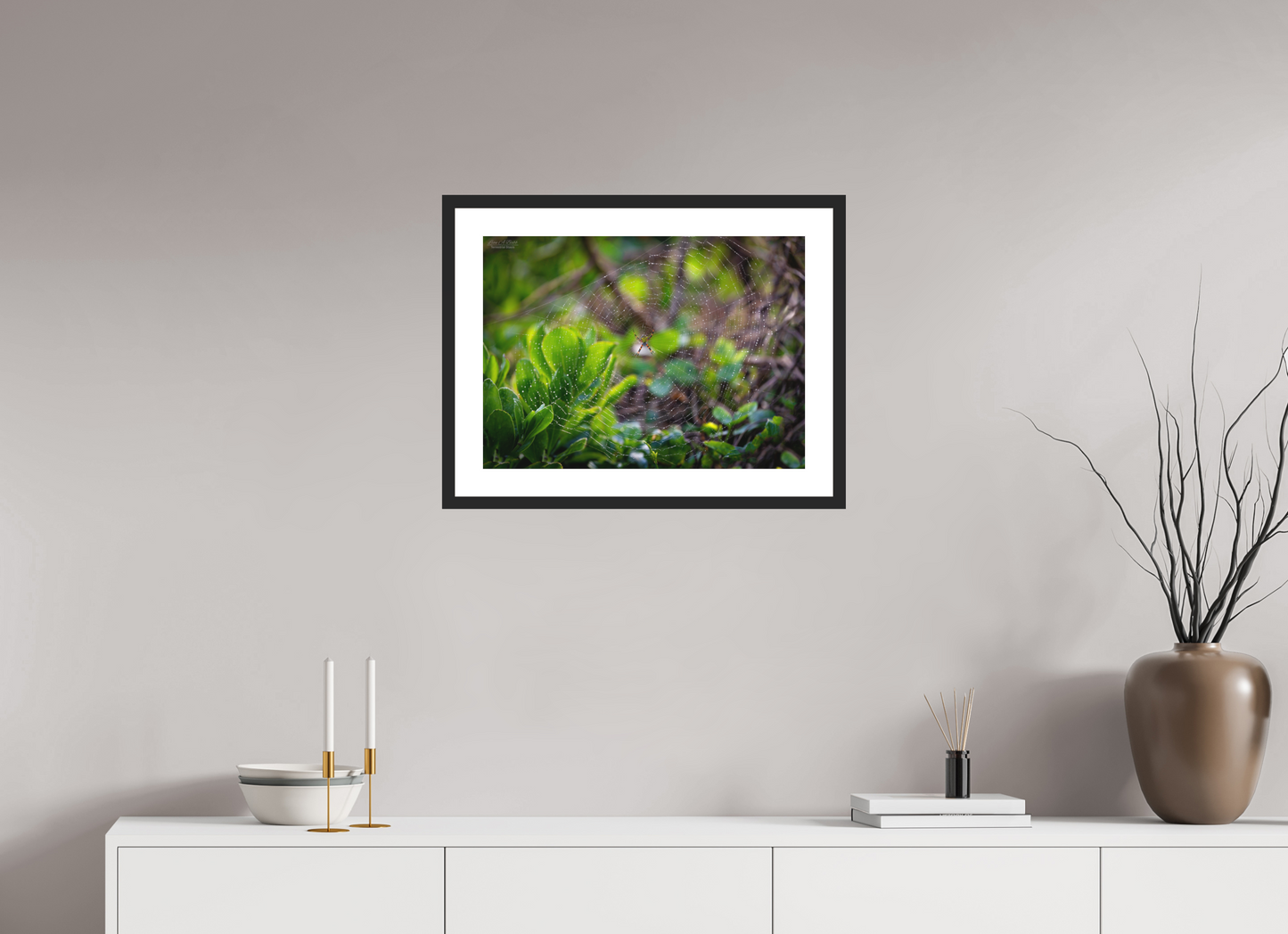 22 x 16″, Classic Black Matte Wood Frame Hawaiian Garden Spider Web