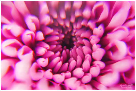 Main image ?