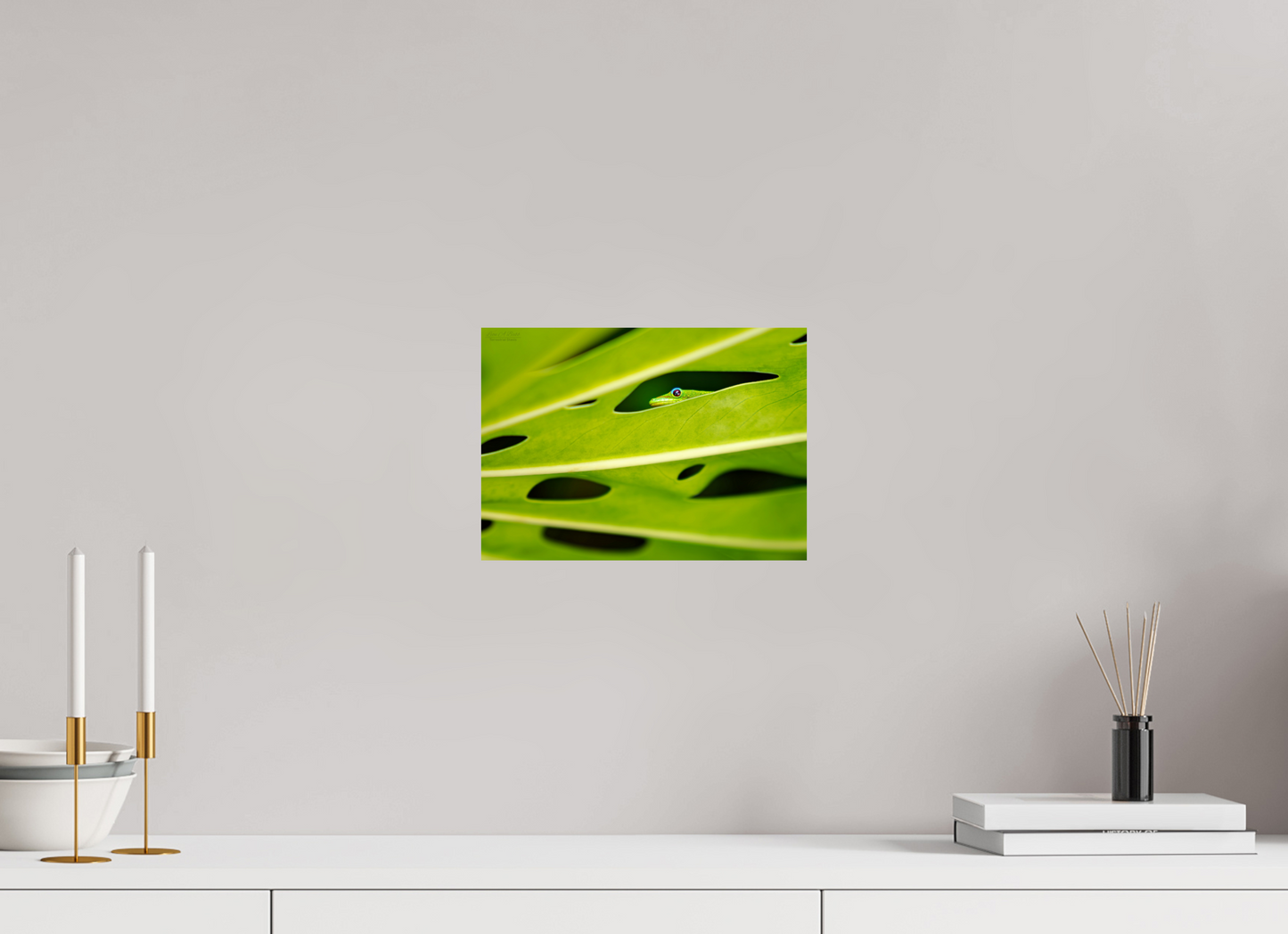 11.2 x 8″, Aluminum Backing (08F) Tiny Explorer