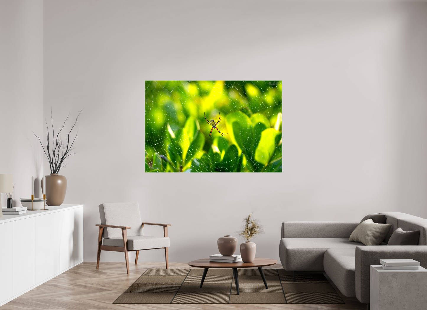 66 x 44″, Glossy Canvas Stretcher Frame with Mirrored Edges (09C) Hawaiian Garden Spider