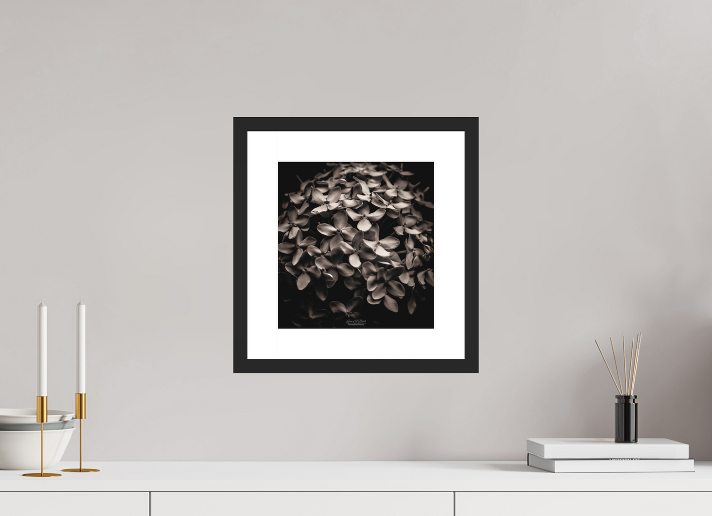 10 x 10.7″, Standard Black Matte Wood Frame (07D) Jungle Flame