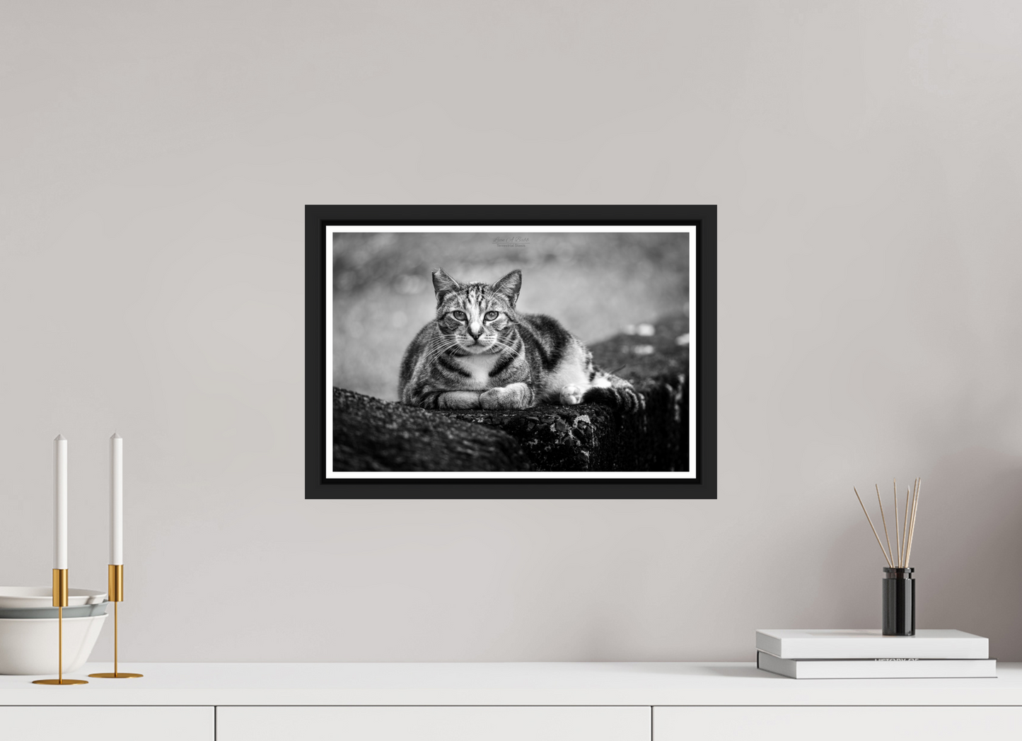 15 x 10″, Black Matte Floater Frame with Acrylic Glass (08G) Hawaii Strays in BnW