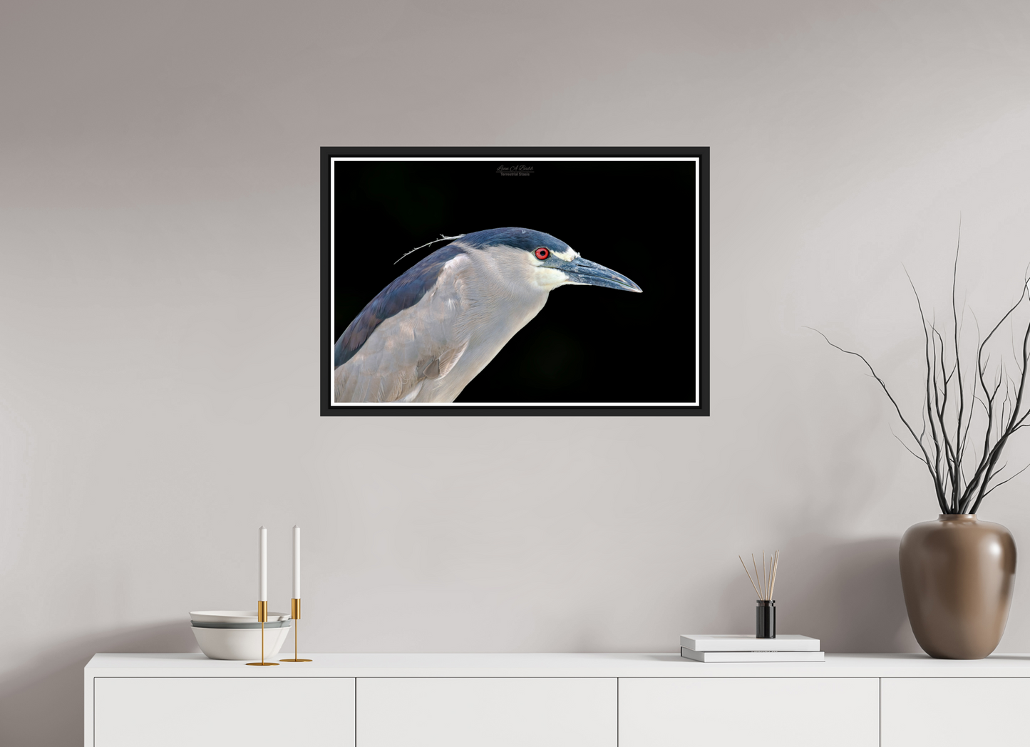 30 x 20″, Black Matte Floater Frame with Acrylic Glass (08B) Black-crowned Night Heron