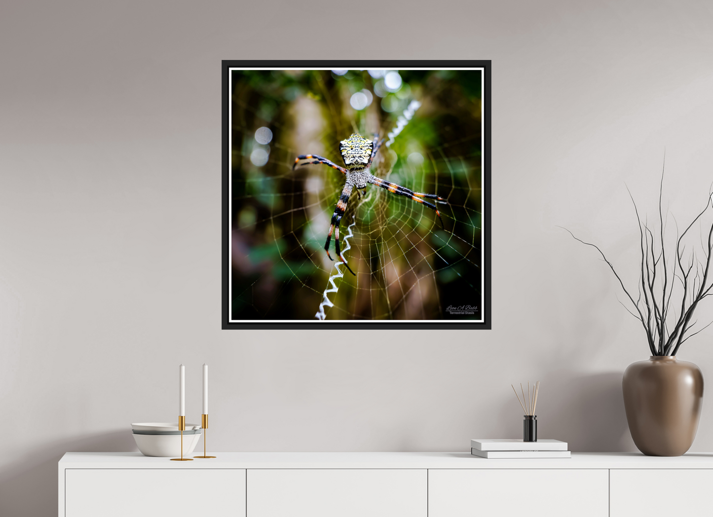 30 x 30″, Black Matte Floater Frame with Acrylic Glass (09A) Spider on the trail