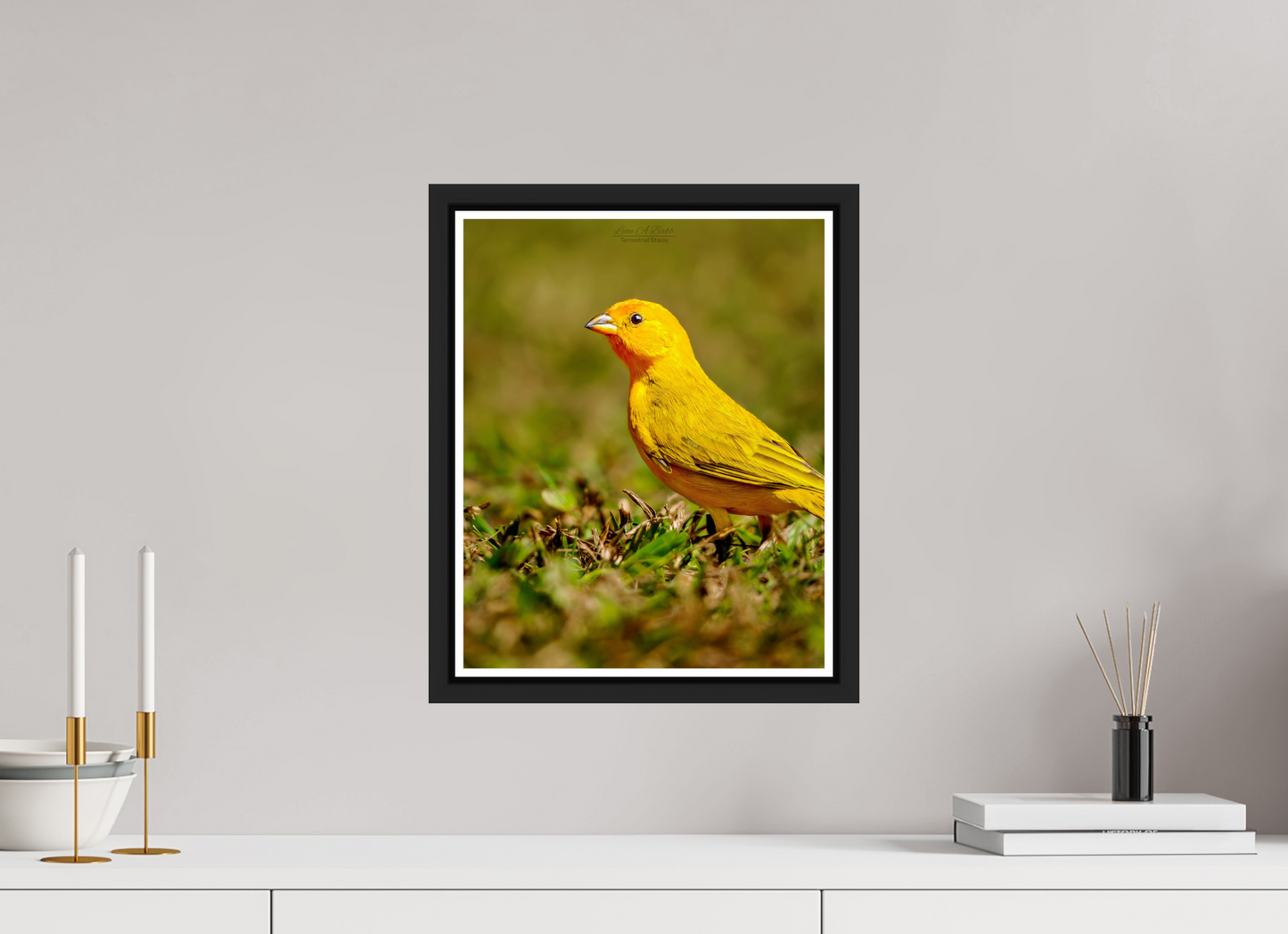 12 x 15″, Black Matte Floater Frame with Acrylic Glass (08E) Halcyon