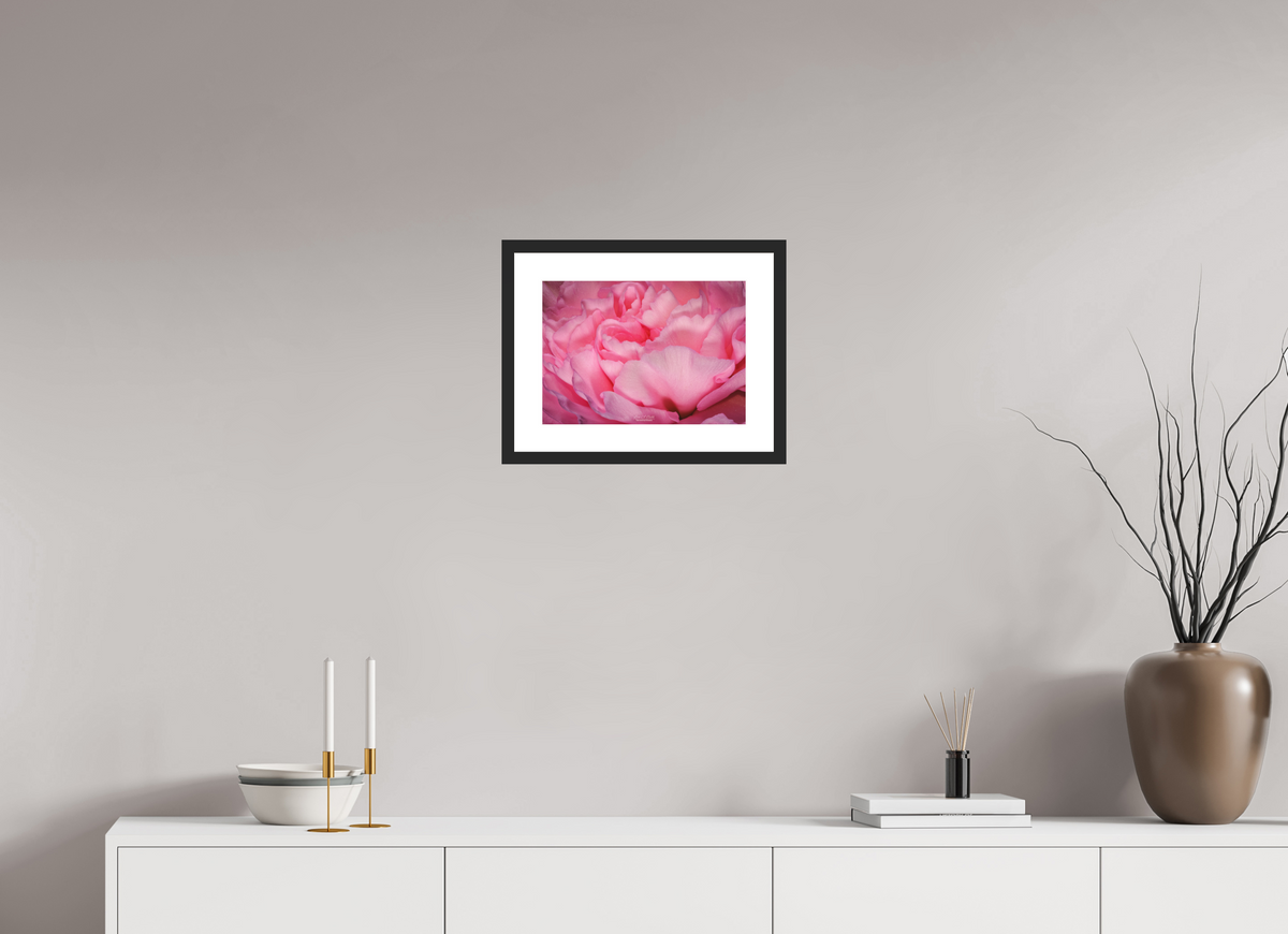 14 x 10″, Classic Black Matte Wood Frame Radiant Pink Petals