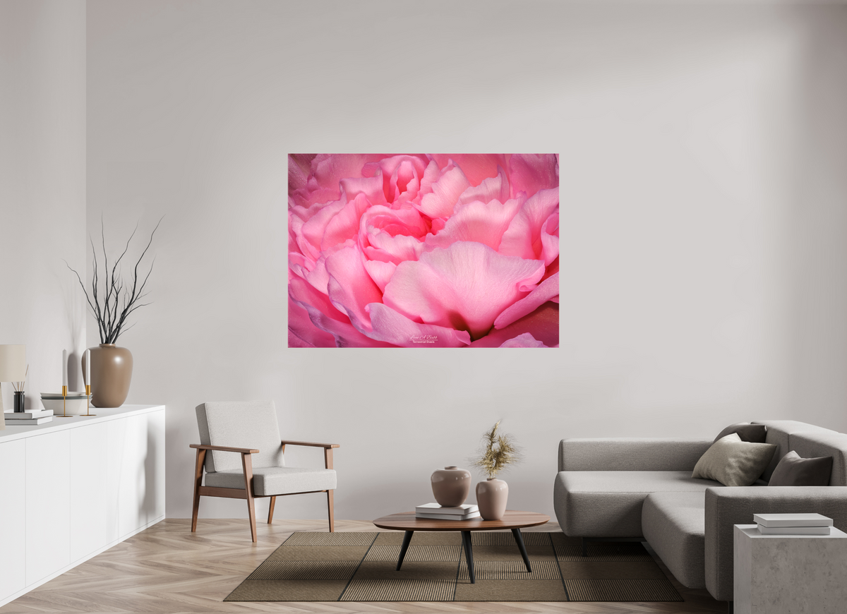 65.8 x 47″, Glossy Canvas Stretcher Frame with Mirrored Edges Radiant Pink Petals