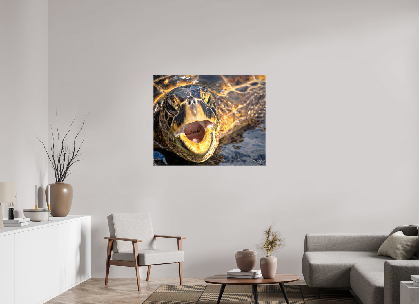 43.7 x 35″, Glossy Canvas Stretcher Frame with Mirrored Edges (000) Honu’s Serenade