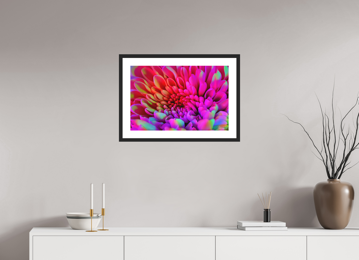 24 x 16″, Classic Black Matte Wood Frame ????