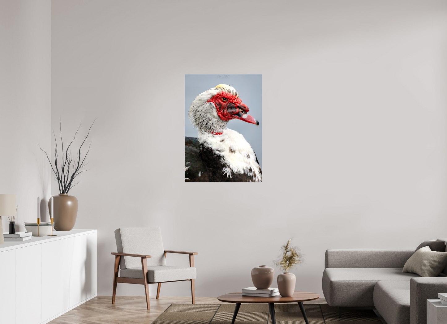 28 x 39.2″, Glossy Canvas Stretcher Frame with Mirrored Edges (08S) Male Muscovy Duck Portrait