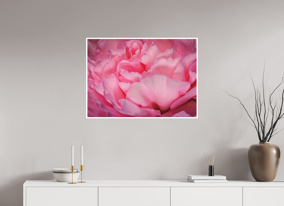 33.6 x 24″, Print with Matte Lamination Radiant Pink Petals