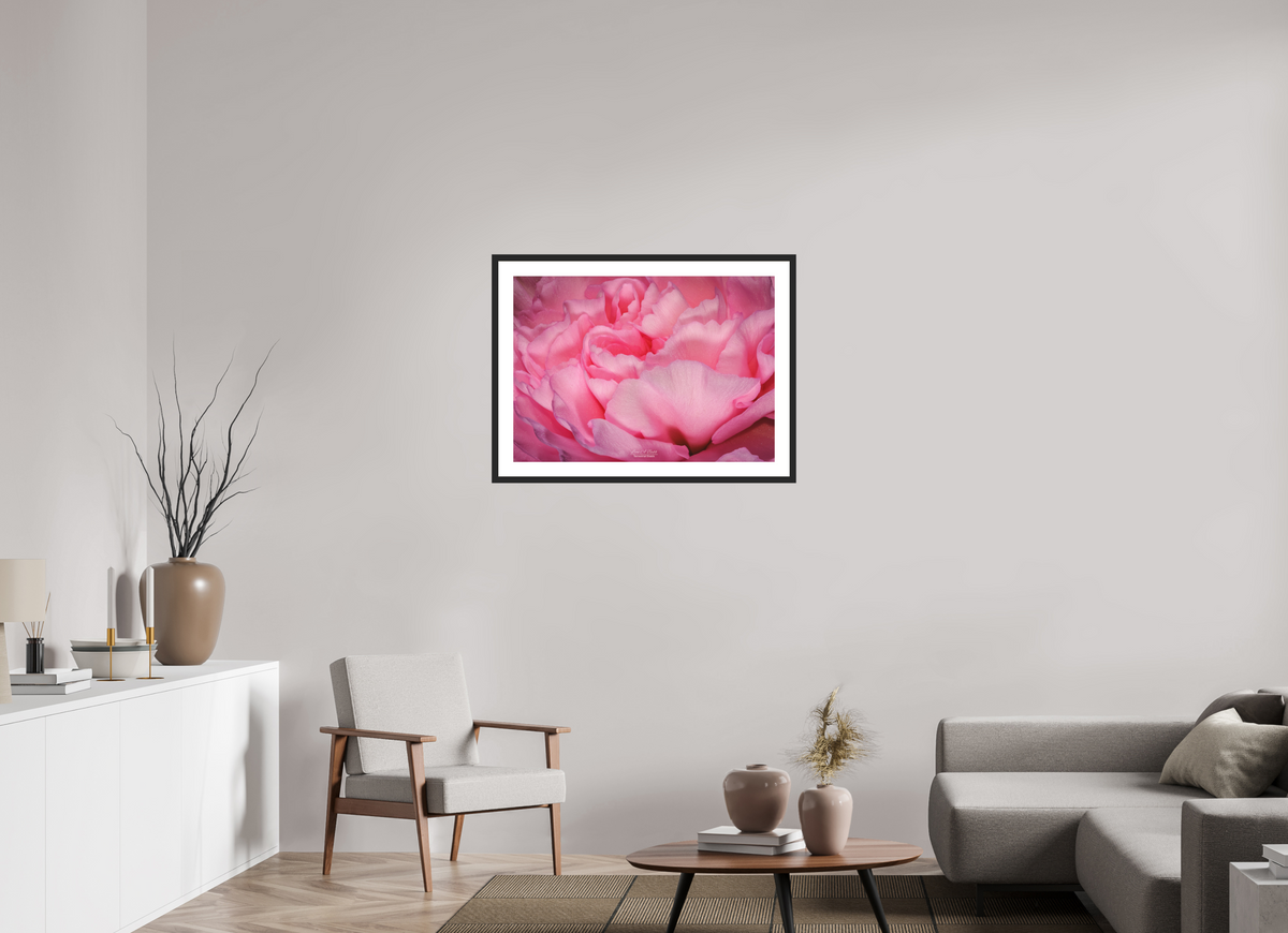 33.6 x 24″, Classic Black Matte Wood Frame Radiant Pink Petals