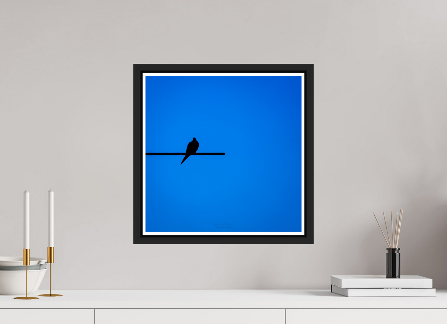 15 x 15″, Black Matte Floater Frame with Acrylic Glass (08D) Bird Silhouette in Blue