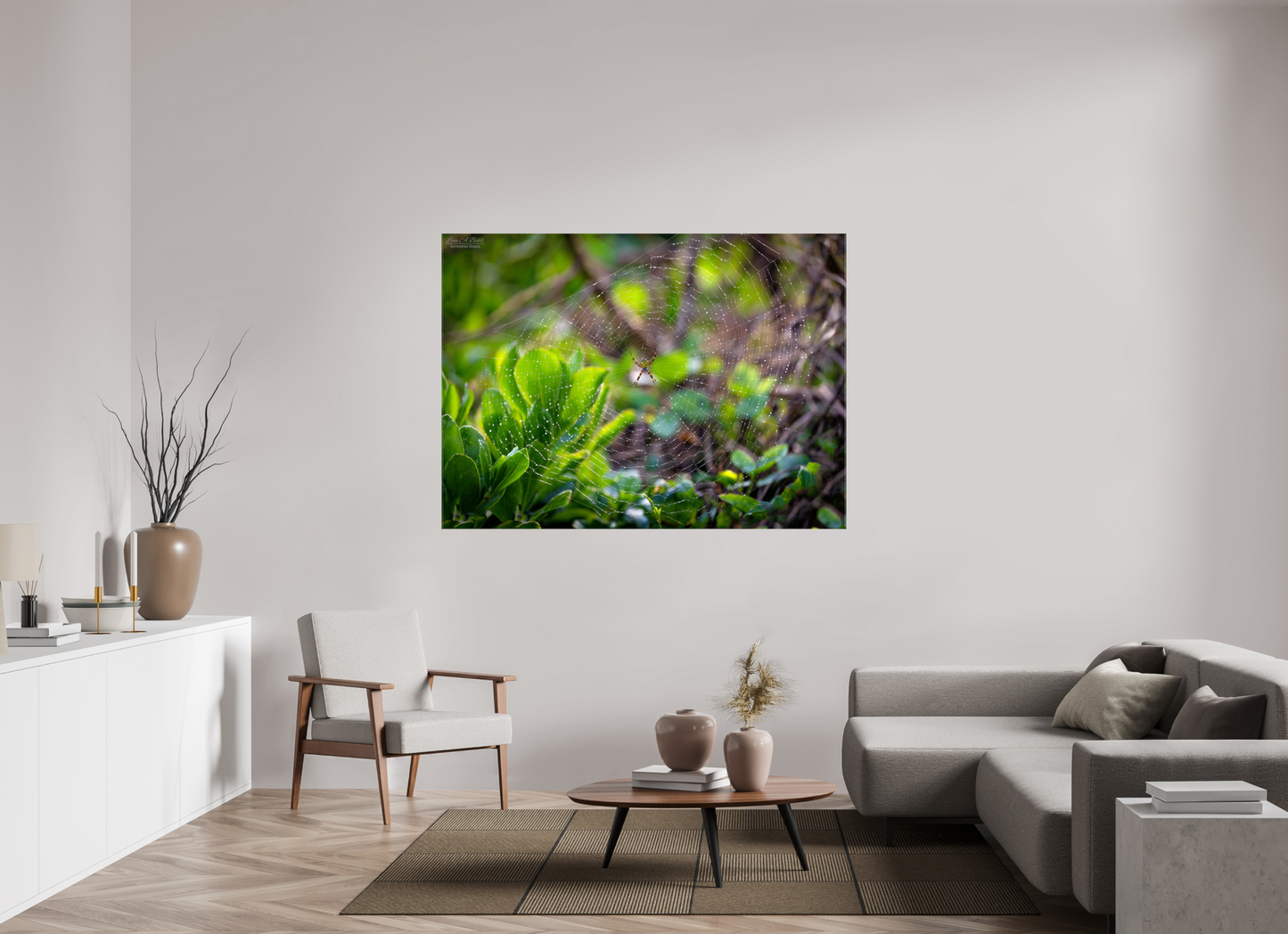 64.5 x 47″, Glossy Canvas Stretcher Frame with Mirrored Edges Hawaiian Garden Spider Web