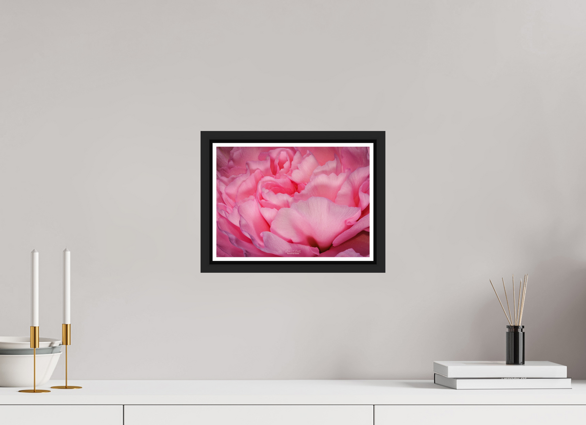 11.2 x 8″, Black Matte Floater Frame with Acrylic Glass Radiant Pink Petals