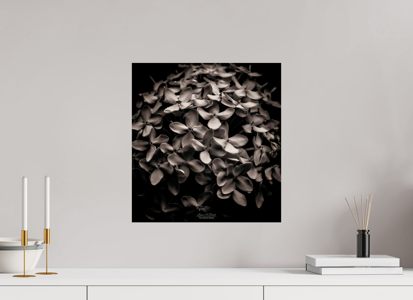 (07D) Monochrome Garden