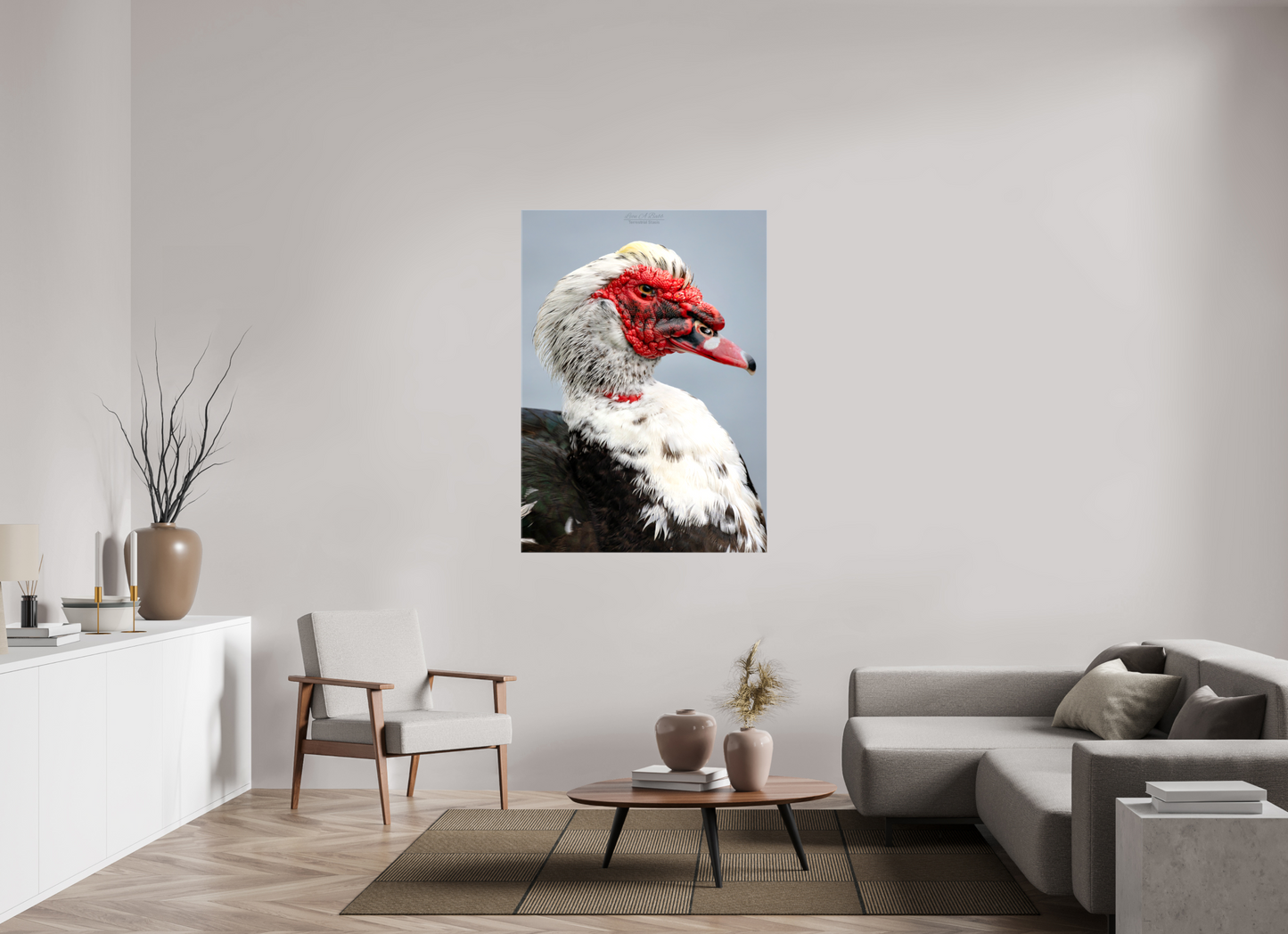 39 x 54.6″, Glossy Canvas Stretcher Frame with Mirrored Edges (08S) Male Muscovy Duck Portrait