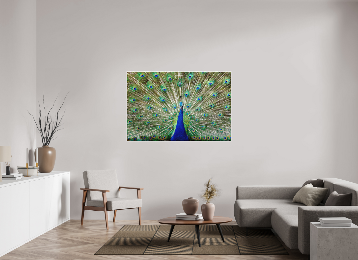60 x 40″, Photo Print with Matte Lamination (08C) Peacock Display