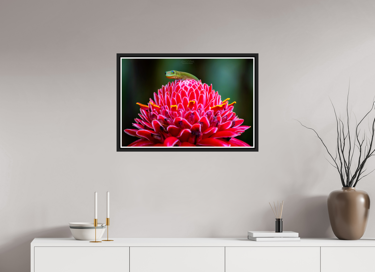 30 x 20″, Black Matte Floater Frame with Acrylic Glass (08F) Gecko on a flower