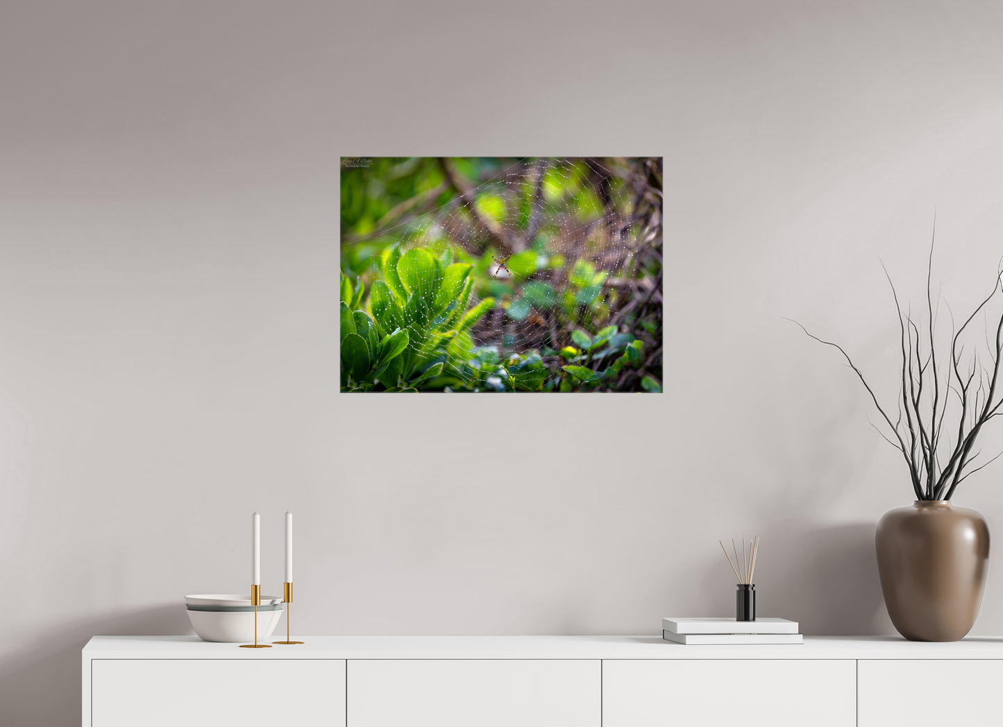 27.5 x 20″, Glossy Canvas Stretcher Frame with Mirrored Edges Hawaiian Garden Spider Web