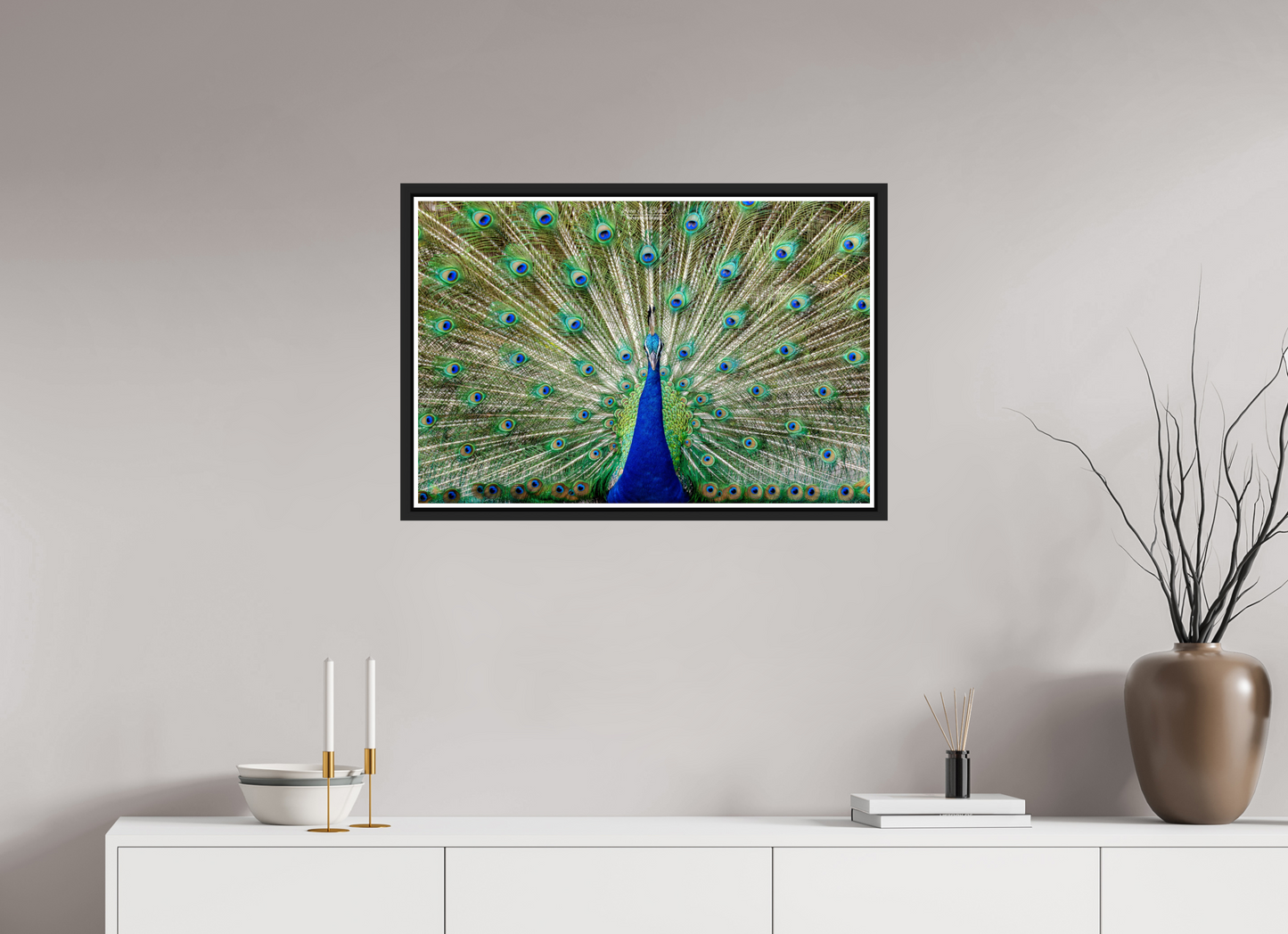 30 x 20″, Black Matte Floater Frame with Acrylic Glass (08C) Peacock Display