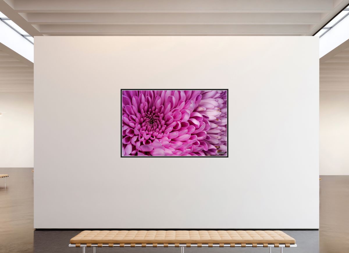 75.2 x 47″, Black Matte Floater Frame with Acrylic Glass ???