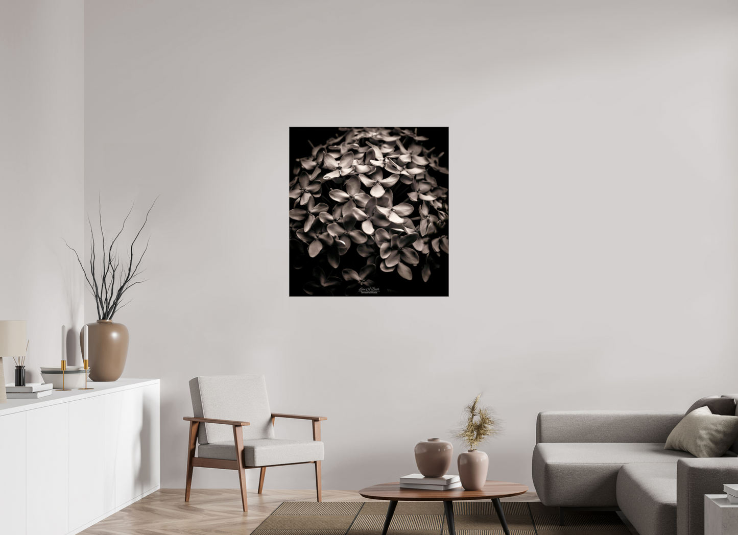 (07D) Monochrome Garden
